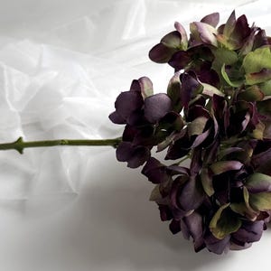 May include: A single stem of artificial hydrangea flowers. The flower head is a mix of deep purple and green hues, with a long green stem. The background is white with a translucent, crinkled material.