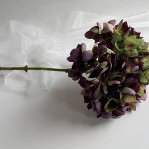 May include: A close-up of a single stem of hydrangea flowers. The flower head is a mix of deep purple and green hues. The stem is green, and a white, sheer fabric is draped in the background.