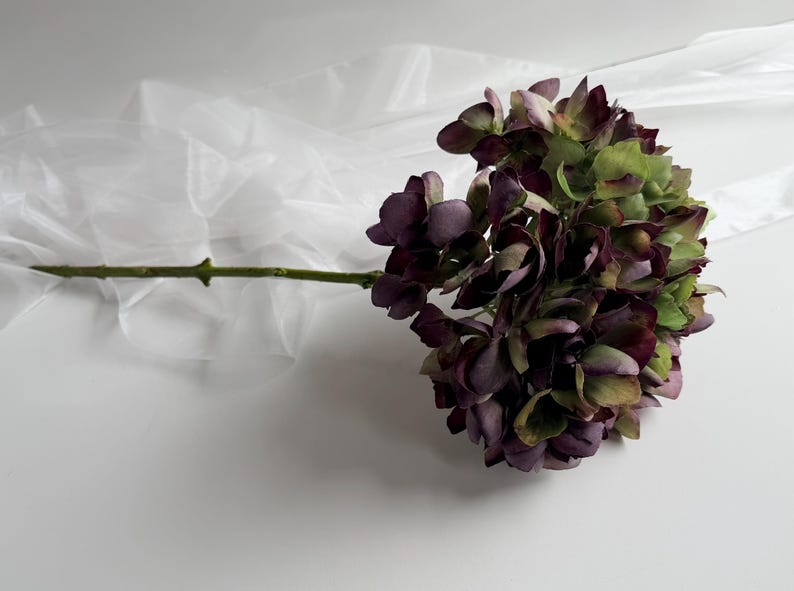 May include: A close-up of a single stem of hydrangea flowers. The flower head is a mix of deep purple and green hues. The stem is green, and a white, sheer fabric is draped in the background.