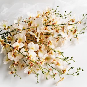 Könnte beinhalten: Ein Bouquet cremefarbener Orchideen mit gelben und roten Akzenten. Die Blumen sind auf schlanken grünen Stielen mit kleinen grünen Knospen angeordnet. Der Hintergrund ist ein weicher, weißer Stoff.