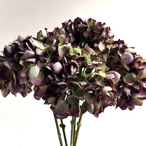 May include: A bouquet of artificial hydrangeas with a mix of colors. The flowers have a deep purple hue with hints of green and brown. The stems are a light brown color, and the background is white.