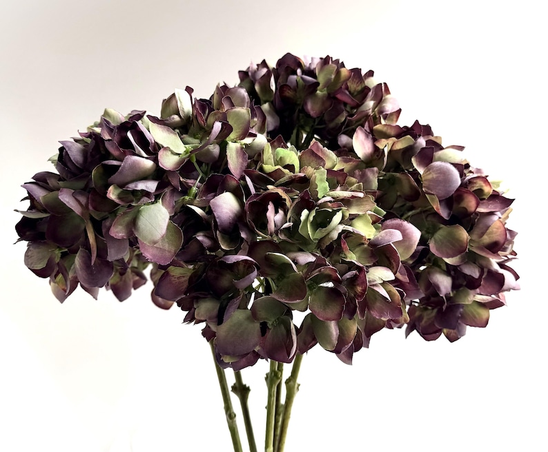 May include: A bouquet of artificial hydrangeas with a mix of colors. The flowers have a deep purple hue with hints of green and brown. The stems are a light brown color, and the background is white.