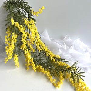 Peut inclure: Une composition florale de fleurs de mimosa, avec des fleurs jaunes en forme de pompons et un feuillage vert en forme de fougère. Les fleurs se détachent sur un fond blanc, créant un contraste saisissant. Idéal pour la décoration intérieure ou les événements.