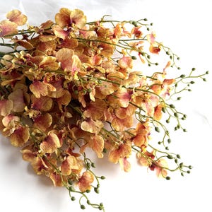 Könnte beinhalten: Ein Bund künstlicher Orchideen mit gelben und rot-violetten Blütenblättern. Die Blumen haben ein gesprenkeltes Muster und sind auf grünen Stielen mit kleinen Knospen angeordnet. Der Hintergrund ist weiß.
