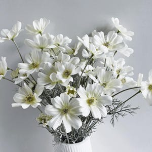 Könnte beinhalten: Ein Strauß weißer Kosmosblumen mit gelben Zentren in einer weißen Vase. Die Blumen haben zarte Blütenblätter und sind mit grünen Stielen und Blättern angeordnet. Die Vase hat eine gerippte Textur.