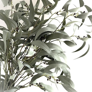 May include: A bundle of faux eucalyptus branches with long, oval-shaped, silvery-green leaves and small, dark brown buds. The leaves have a soft, matte finish. The stems are a muted green color, creating a natural, botanical aesthetic.