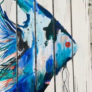 Shiplap Angelfish