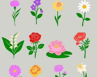 Birth Month Flower SVG & PNG Bundle | Floral Clipart Rose, Daisy, Daffodil, Poppy, Aster, Lily Cut Files