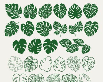 Pacchetto SVG Monstera Leaf: foglie tropicali con contorni per Cricut e Silhouette (download digitale)