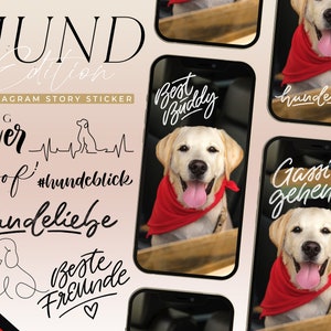 170+ DOGS Instagram Story Stickers I DOGS Insta Story Stickers