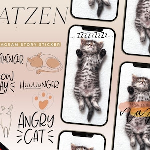 80+ CAT Instagram Story Stickers I CATS Insta Story Stickers