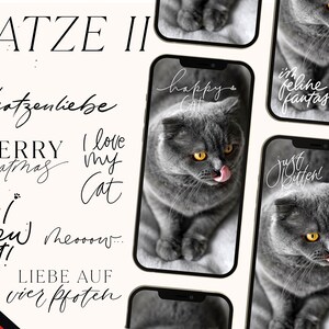 130+ CAT Instagram Story Stickers I CATS Insta Story Stickers cats