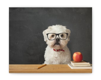 Klasse in Sitzung! - Canvas Gallery Wraps, 10" x 8"