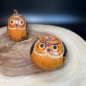 Peruvian Hand Carved Gourd Owl Ornament Burned for Color Kitschy Cute Rustic Arts and Crafts Decor Owl Wildlife Lover Gift