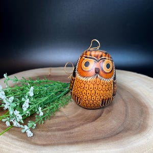 Peruvian Hand Carved Small Oval Gourd Owl Ornament Burned for Color Kitschy Cute Rustic Arts and Crafts Decor Owl Wildlife Lover Gift