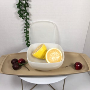Vintage Tupperware Almond Tray and Bowl Set: 1970s Retro Kitchen