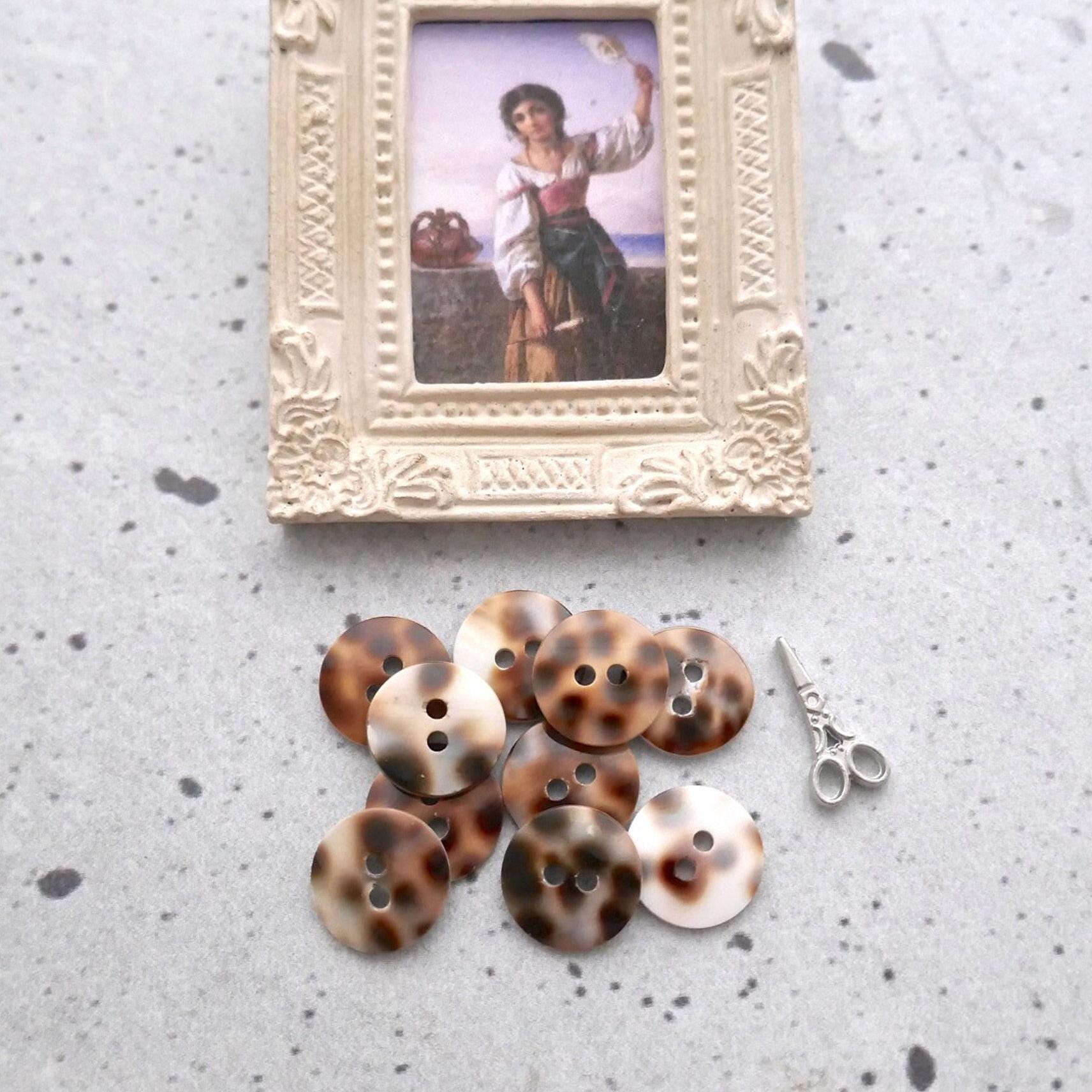 Tiger Shell Button Cowrie Shell Buttons, ≈12mm 1/2