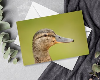 Duck Greetings Card | Greetings Cards | Wildlife Cards | Duck Cards | Wildlife | Nature Cards | Birthday Cards | Thinking Of You Cards |