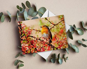 Robin Greetings Card | Bird Card | Christmas Card | Photography Card | Birthday Card | Card For Her | Card For Him | Card For Any Occasion