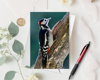 Woodpecker Card | Greetings Card | Birthday Card | Card For Him | Card For Her | Wildlife Cards | Nature Cards | Birds | Bird Cards |