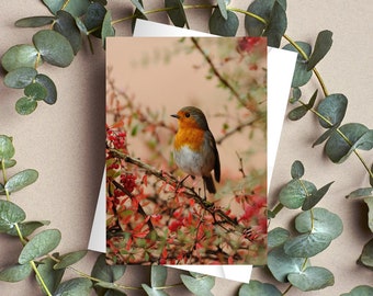 Robin Card | Robin Birthday Card | Birthday Cards | Christmas Cards | Cards For All Occasions | Wildlife Cards | Nature Cards | Birds |