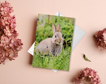 Rabbit Greetings Card | Rabbit Card | Greetings Card | Birthday Cards | Easter Card | Thinking Of You Cards | Wildlife Cards | Animal Cards