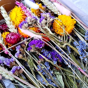 May include: A bouquet of dried flowers in shades of yellow, purple, pink, and red. The bouquet includes dried wheat, lavender, statice, and billy buttons.