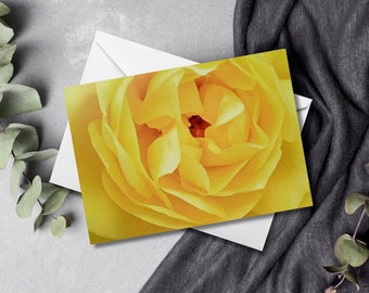 Rose Greetings Card | Flower Greetings Card | Floral Cards | Roses | Birthday Cards | Blank Cards | Thinking Of You Cards | Get Well Cards