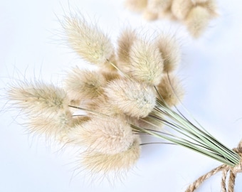 May include: A bunch of dried pampas grass tied together with twine. The grass is a light beige colour and has a fluffy texture.