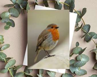 Robin Greetings Card | Robin Cards | Greetings Cards | Birthday Cards | Thinking Of You Cards | Get Well Cards | Bird Cards | Wildlife