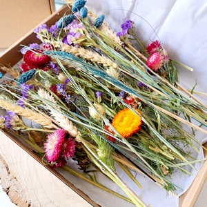Buy Dried Flowers Online in UK  Leading Dried Flowers Suppliers – Dried  Flowers Decor