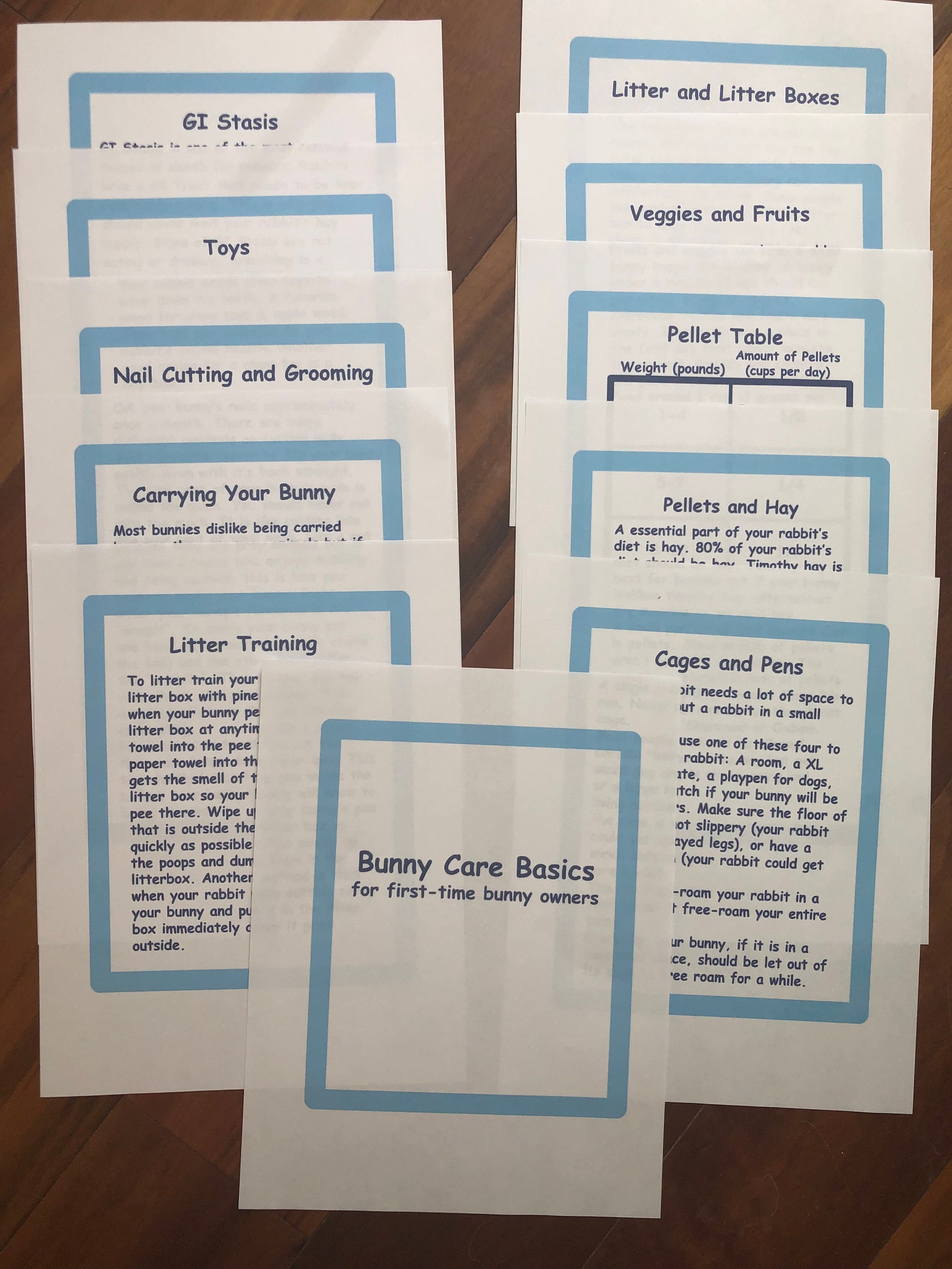 Basic Rabbit Care Guide _ Basic Rabbit Care Guide – KZLKT