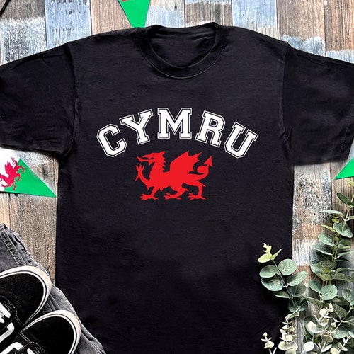 Red Wales Welsh Cymru Rugby Football T-shirt Top MT7 New Kids Boys Cool Grey 