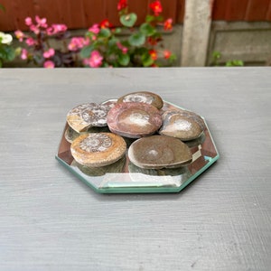 May include: A collection of six fossilized ammonites on a mirrored octagonal tray. The ammonites are various shades of brown, grey, and white.