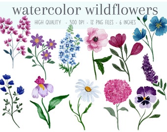 Watercolor Wildflower Clipart: Spring Floral PNG Bundle (Digital Download)