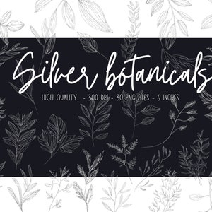 May include: A digital illustration of a collection of 30 silver botanicals. The botanicals are drawn in a simple, minimalist style and are perfect for adding a touch of nature to your designs. The botanicals are high quality, 300 DPI, and 6 inches in size.