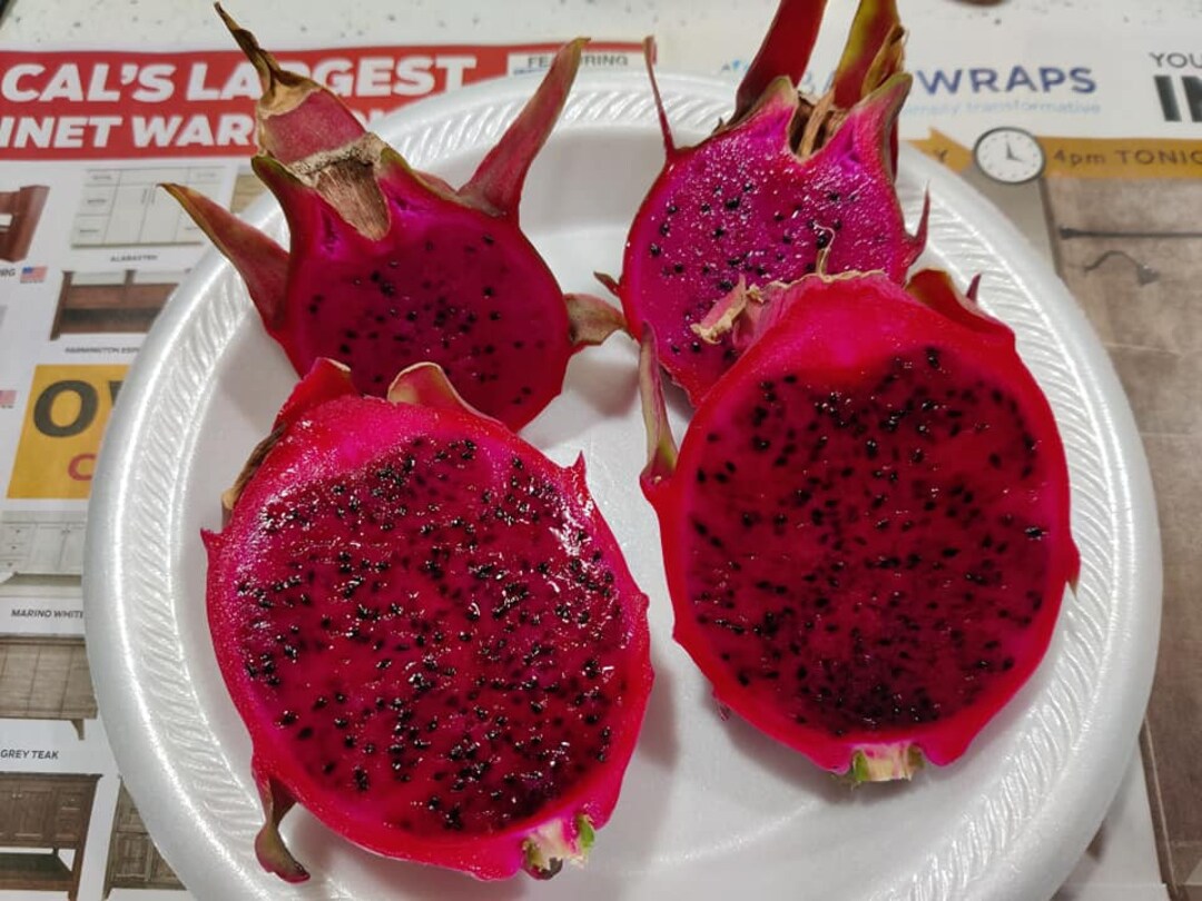 28 Cutting Natural Mystic Dragon Fruit Etsy