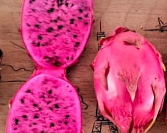 Planta De Fruta Del Dragón Rosa Pantera Rosa