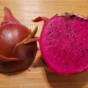 Halley&#39;s Comet Dragon Fruit Plant