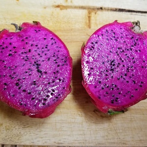 Darkstar Dragon Fruit Plant
