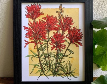 Indian Paintbrush | 8x10 Botanical Art Print