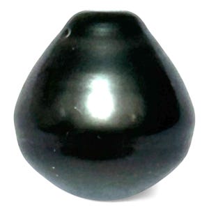 16.7 Carat Tahitian Pearl: Undrilled Black-Green Oval Drop, Lustrous Nacre