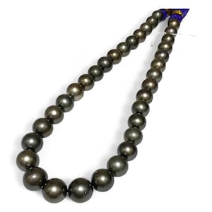 Round 11-13.5mm Tahitian South Sea Peacock Rounded Pearl 16" Strand - Necklace