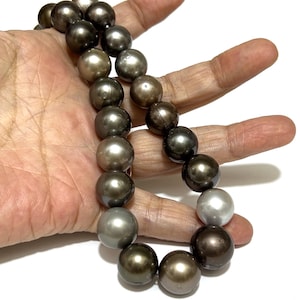 Tahitian South Sea Round 11 - 14mm 33 pcs Natural Multicolors Pearl 16" Strand