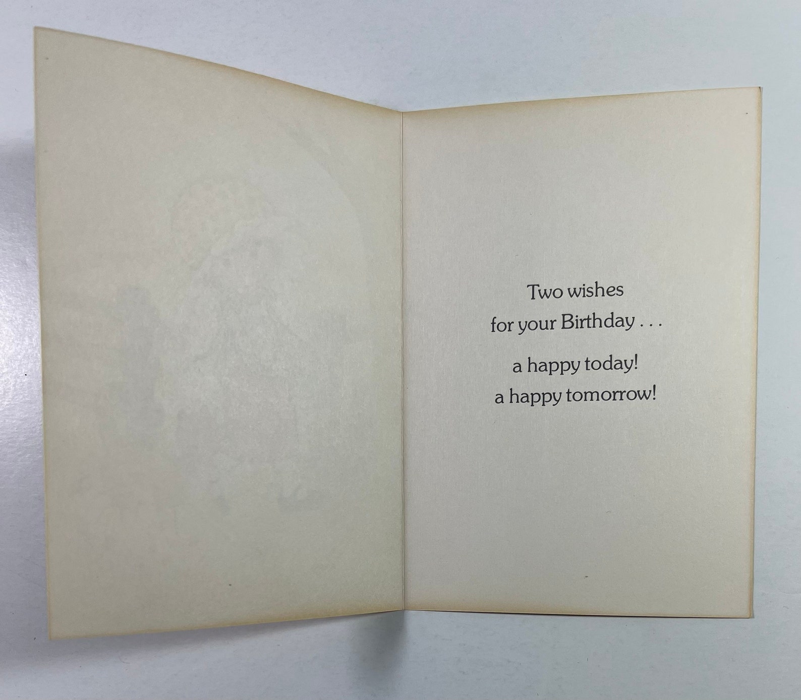 Vintage Girl Holding Kittens Birthday Greeting Card Cat - Etsy