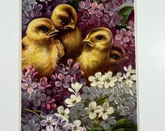 Vintage Chicks Easter Postcard - Chicks Sitting In Lilac Flowers
