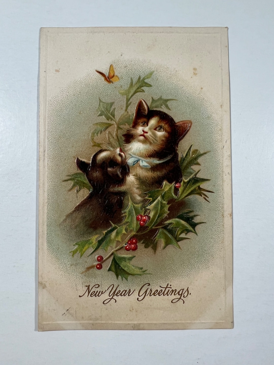 vintage-cat-new-year-s-postcard-kitty-cats-watching-butterfly-etsy