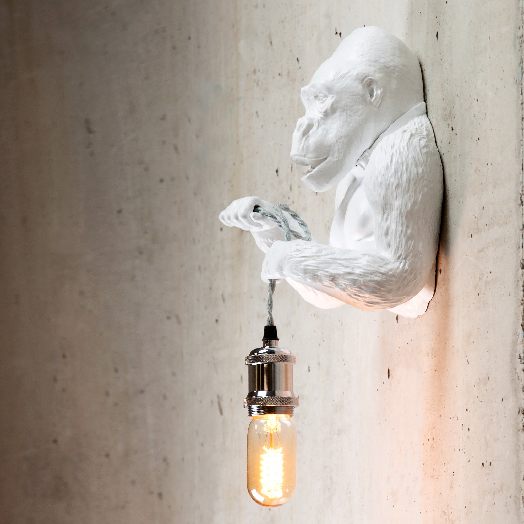 Monkey holding light deals