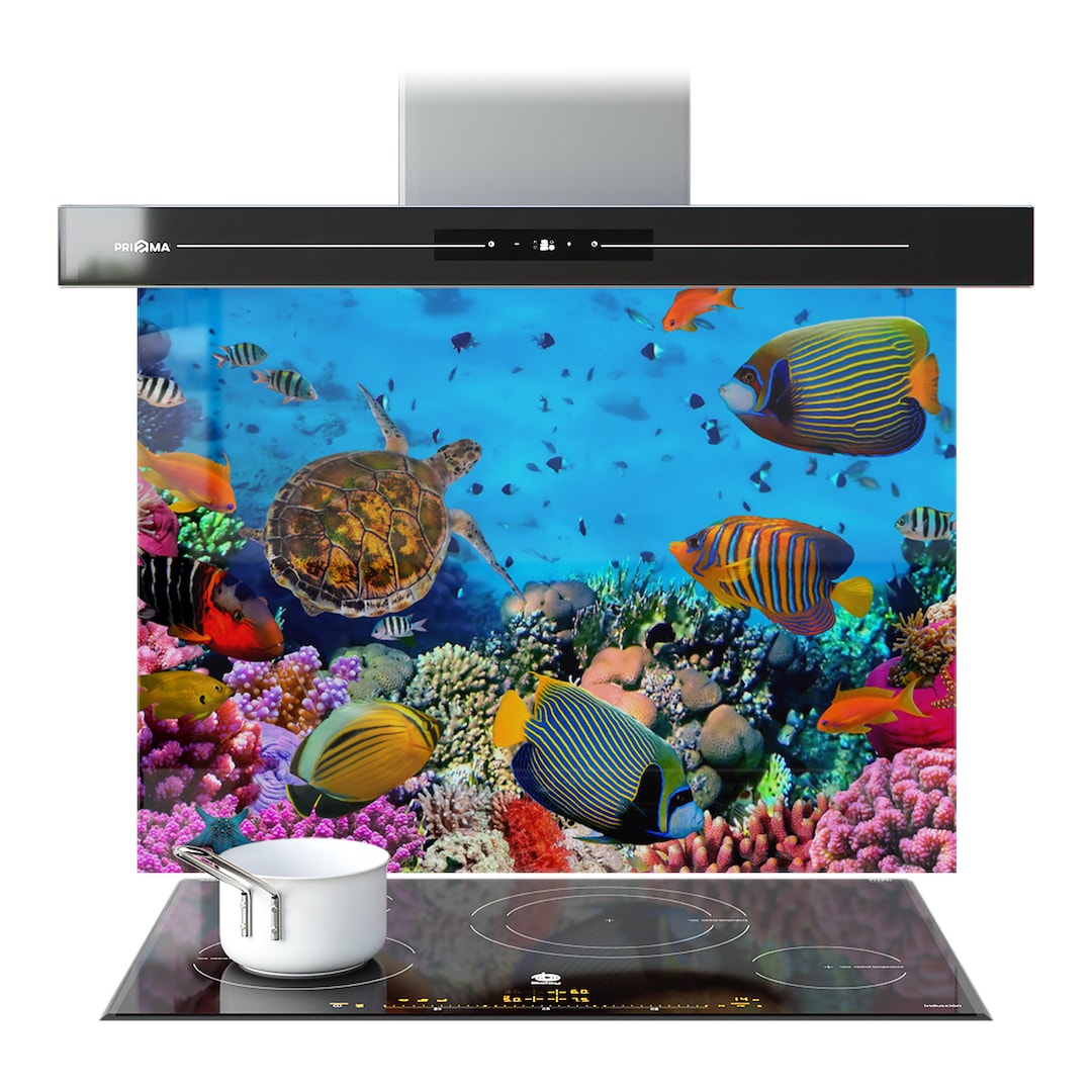 Kitchen Splashback Reef Fish Sea Underwater Coral Tempered Glass ...
