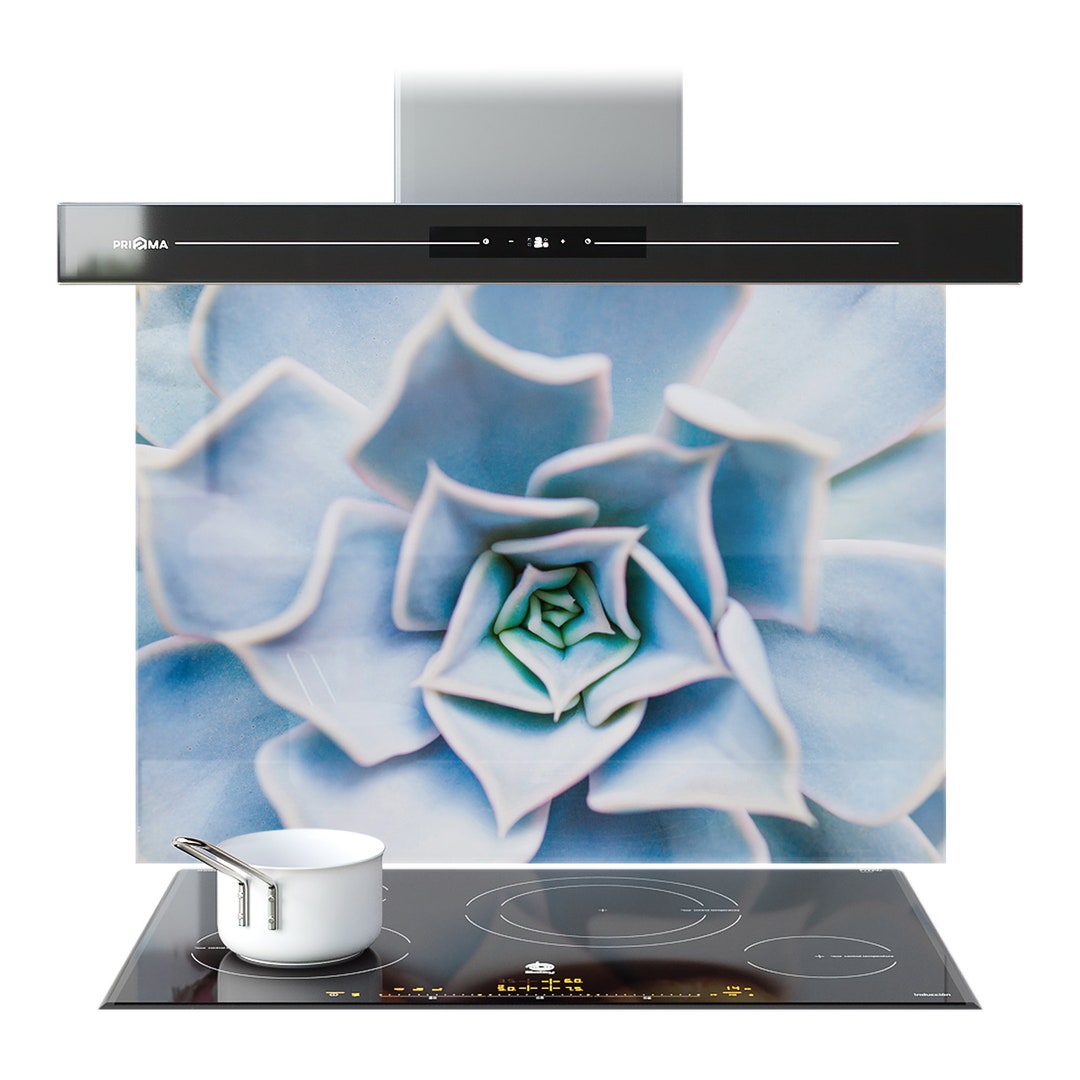 Kitchen Splashback Pale Blue Zoom Succulent Leafs Tempered Glass ...